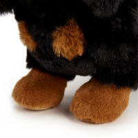 Daisy The Dachshund Plush Toy Medium