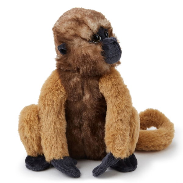 Theodore The Woolly Monkey Eco Plush Toy Medium