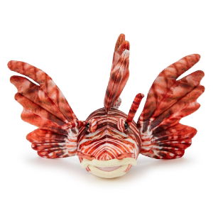 PLU10INLFISH_1