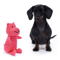 Sensory Dog Toy - Hippo