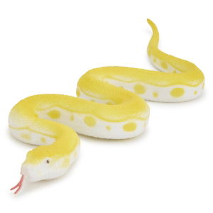 SNATPRGPY_1