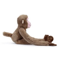 Hanging Monkey - Japanese Macaque