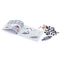 1:30 Audi RS Q e-tron Bricks