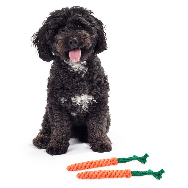 Pet Toy Two Pack - Rope Carrot
