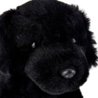 Buddy The Black Labrador  Plush Toy Medium
