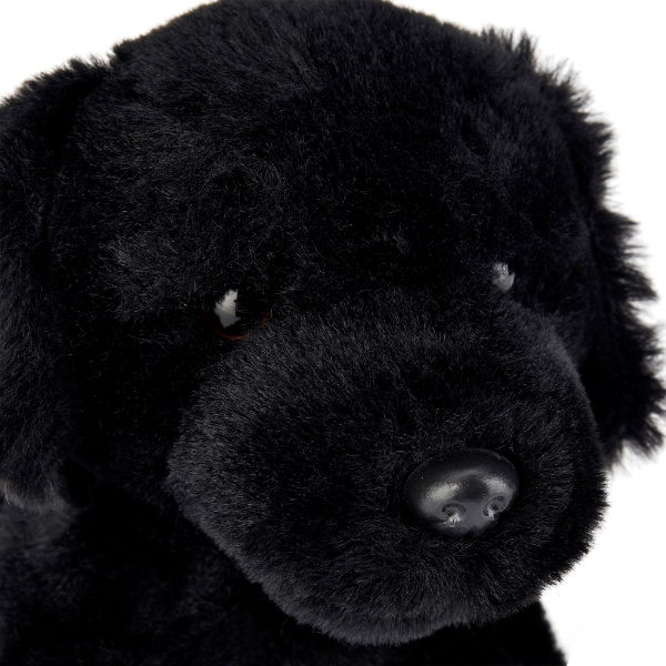 Buddy The Black Labrador  Plush Toy Medium