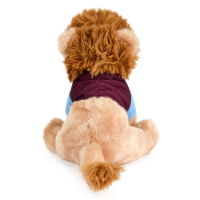 Aston Villa Lion Plush Toy