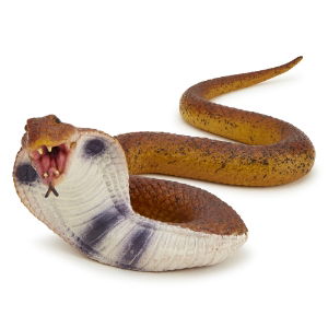 SNATPRCOB_1