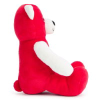 Liverpool Beanie Bear Plush Toy (2025 Design)