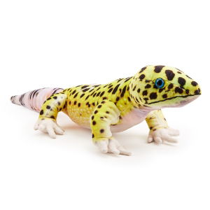 PLULLEOGEC_1