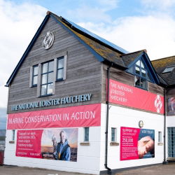 The National Lobster Hatchery Building