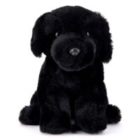 Buddy The Black Labrador  Plush Toy Medium