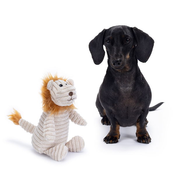 Sensory Dog Toy - Lion