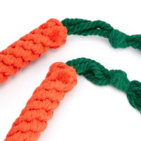 Pet Toy Two Pack - Rope Carrot