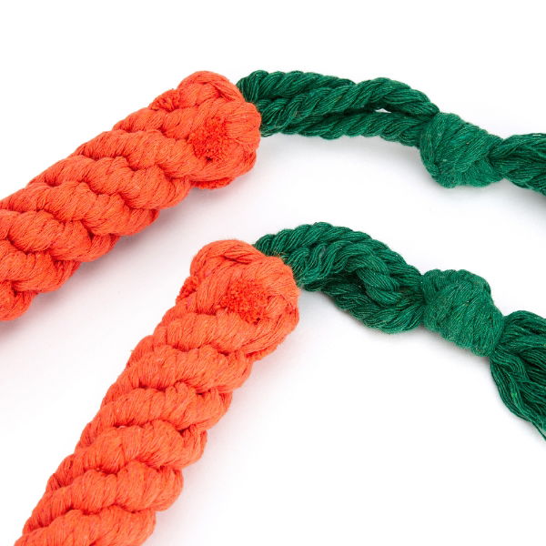 Pet Toy Two Pack - Rope Carrot