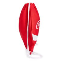Coca-Cola Officially Licensed Core Gym Bag